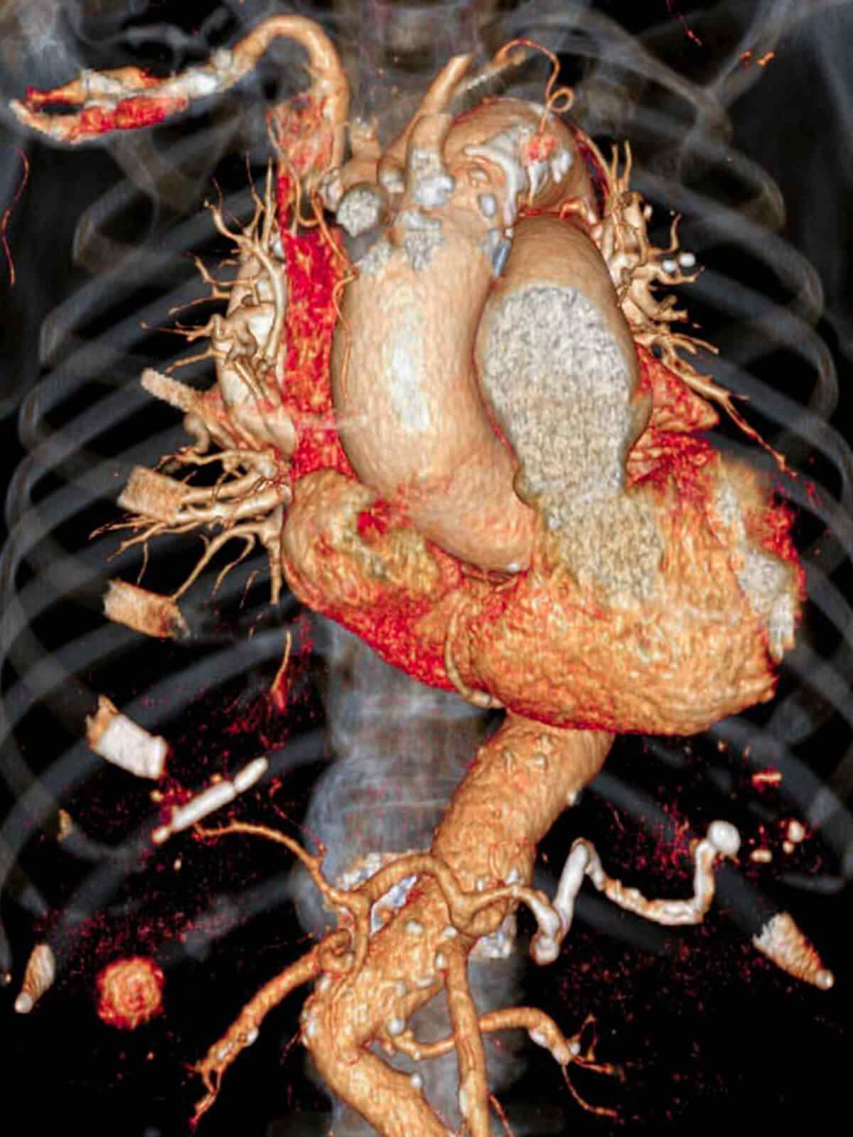 single_service_01 https://www.erbaabeyazesyatamiri.com/wp-content/uploads/2021/09/single_service_01.jpg